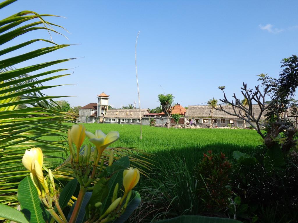 Bening Bungalow Ubud Exteriör bild