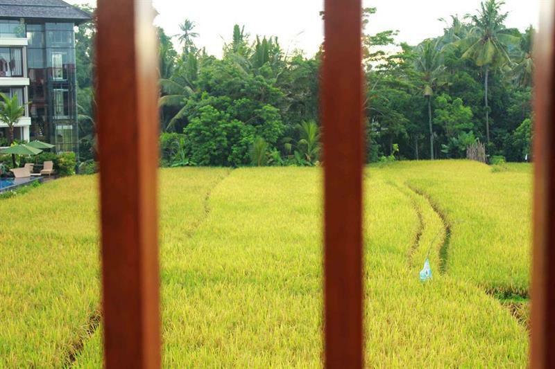 Bening Bungalow Ubud Exteriör bild